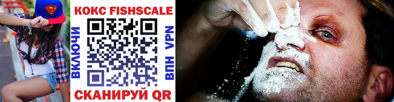 COCAIN Fish Scale  Купить где  Жуковка 