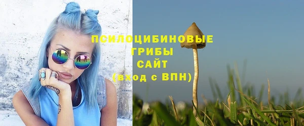 скорость Козловка