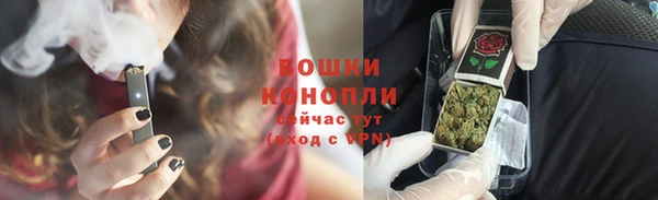 PSILOCYBIN Козельск