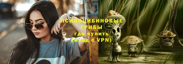 PSILOCYBIN Козельск