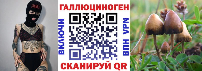 Купить закладки  Жуковка  Псилоцибиновые грибы мухоморы 