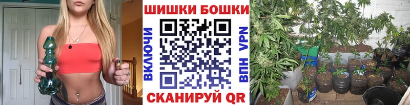 Купить закладки  Жуковка  Бошки марихуана сатива 